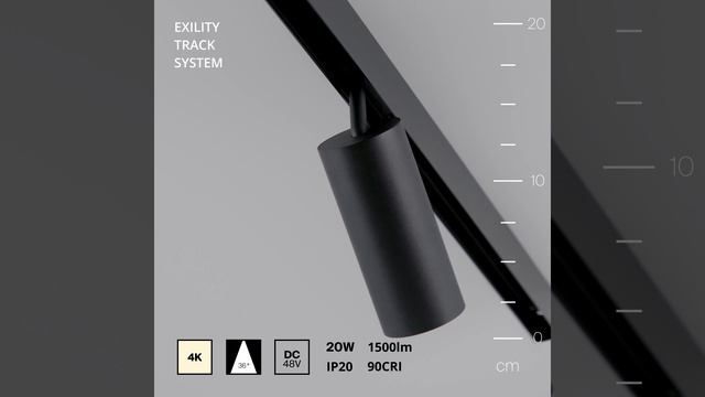 Светильник Maytoni Exility Focus LED TR032-2-20W4K-M-B