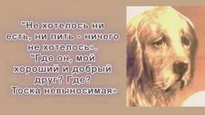 Буктрейлер книги «Белый Бим Черное ухо»