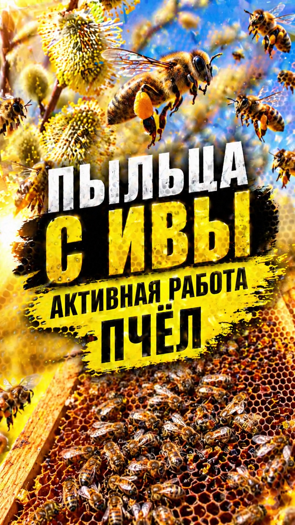 Пыльца с ивы. Активная работа пчёл