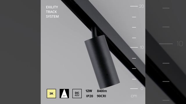 Светильник Maytoni Exility Focus LED TR032-2-12W3K-M-B