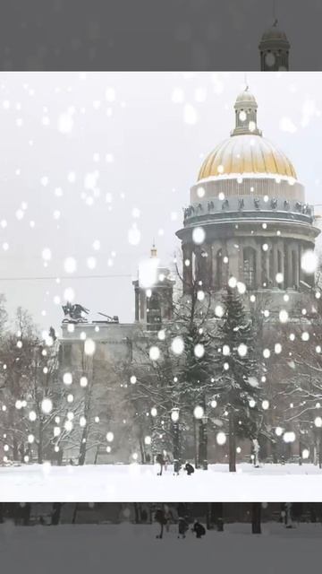 Document_5445348224372090784