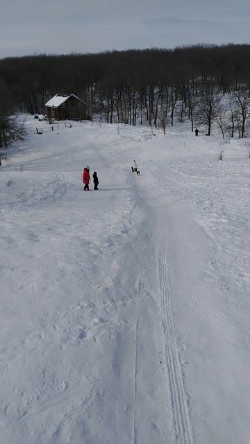 кто сказал, что корги медлительные???