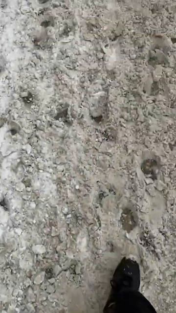 Рабочий день пешего курьера Яндекс Еды ч.2