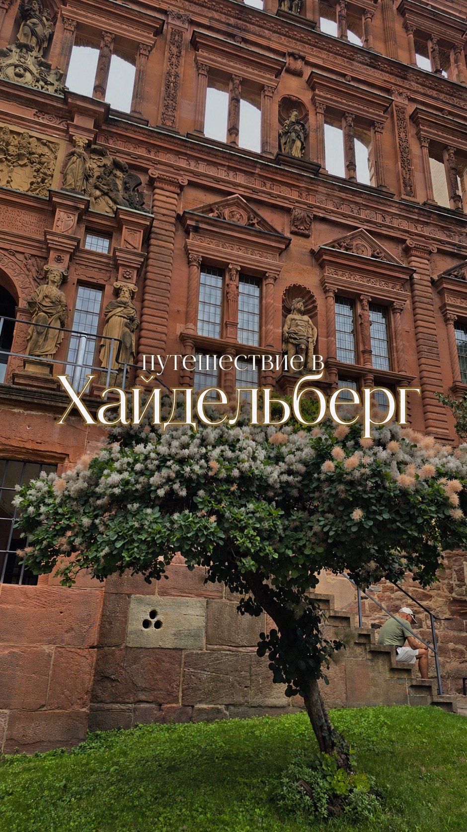 Путешествие в Хайдельберг 🏰