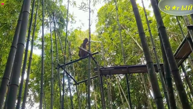 Умелая китаянка своими руками построила себе дом в непроходимом лесу. Это стоит увидеть