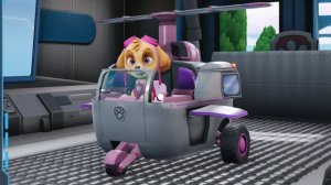 Щенячий Патруль. Щенячий Патруль Скай.