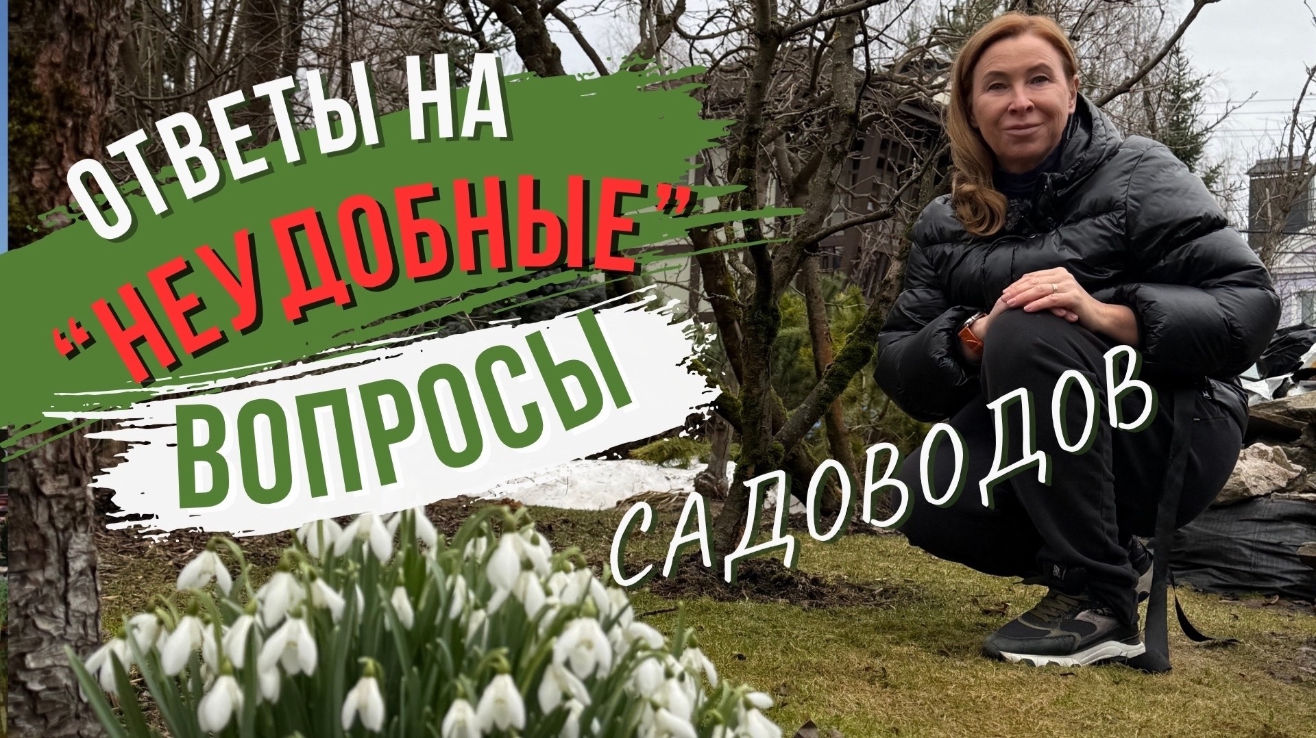 Мох на газоне и повреждение грызунами плодового сада.