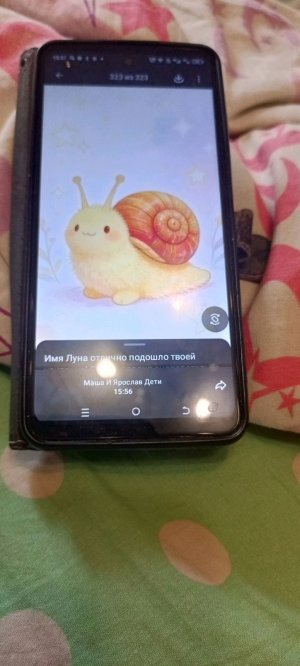 улитка луна 🌖