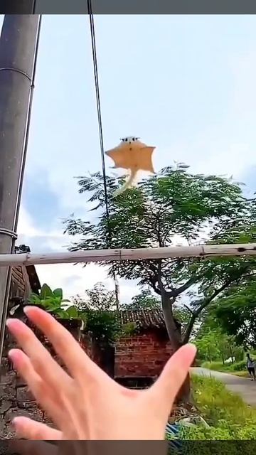 Video_2026-03-22_11-56-07