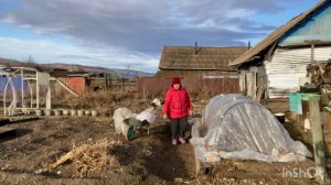 Огородная движуха в разгаре