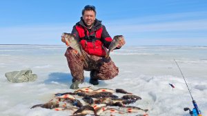 Обновил свой рекорд по ОКУНЮ