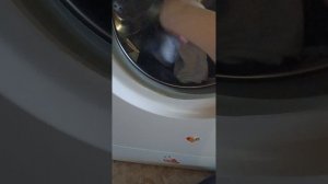 Оброз стиральная машина indesit wiu 82.