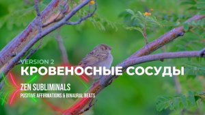 Исцеление кровеносных сосудов. Оздоровление крови | Саблиминал