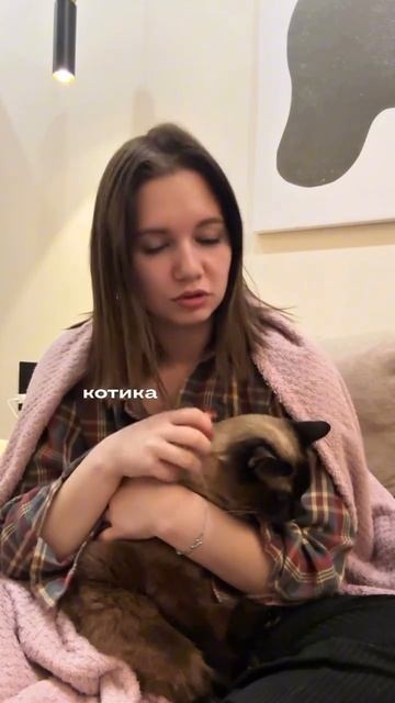 Чем лечить кота?