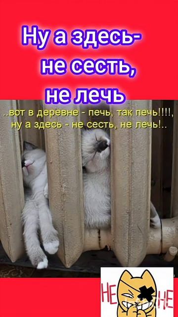 ВОТ В ДЕРЕВНЕ!  ПЕЧЬ  ТАК ПЕЧЬ.😘👍🤣⛪💖