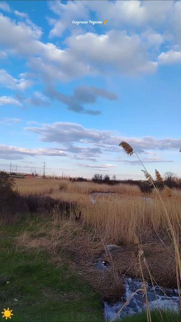 зеркальныйпруд весна2026год мояпрогулка солнечный красивыйдень голубоенебо облака красиво м