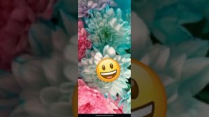 Как создать свой стикер в  WhatsApp