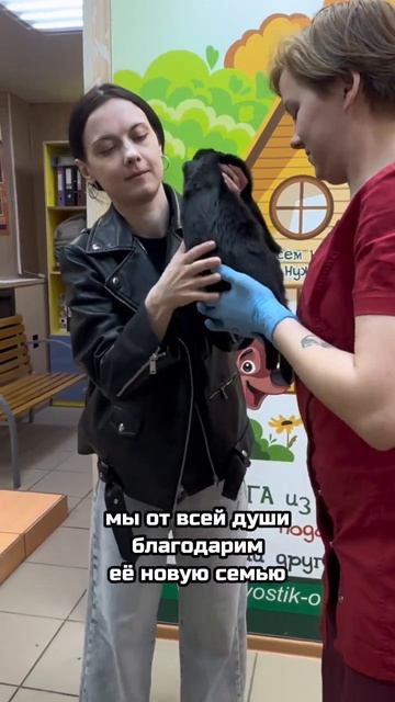 Из холода — в любовь! История, начавшаяся с предательства | Тейлор