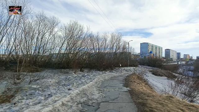 Воркута. 29.04.26. Природа просыпается.