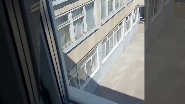 школьный шум