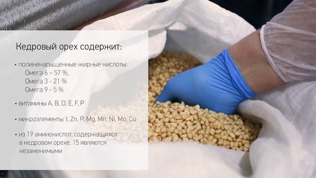 Экскурсии на Эко-фабрику Сибирский кедр