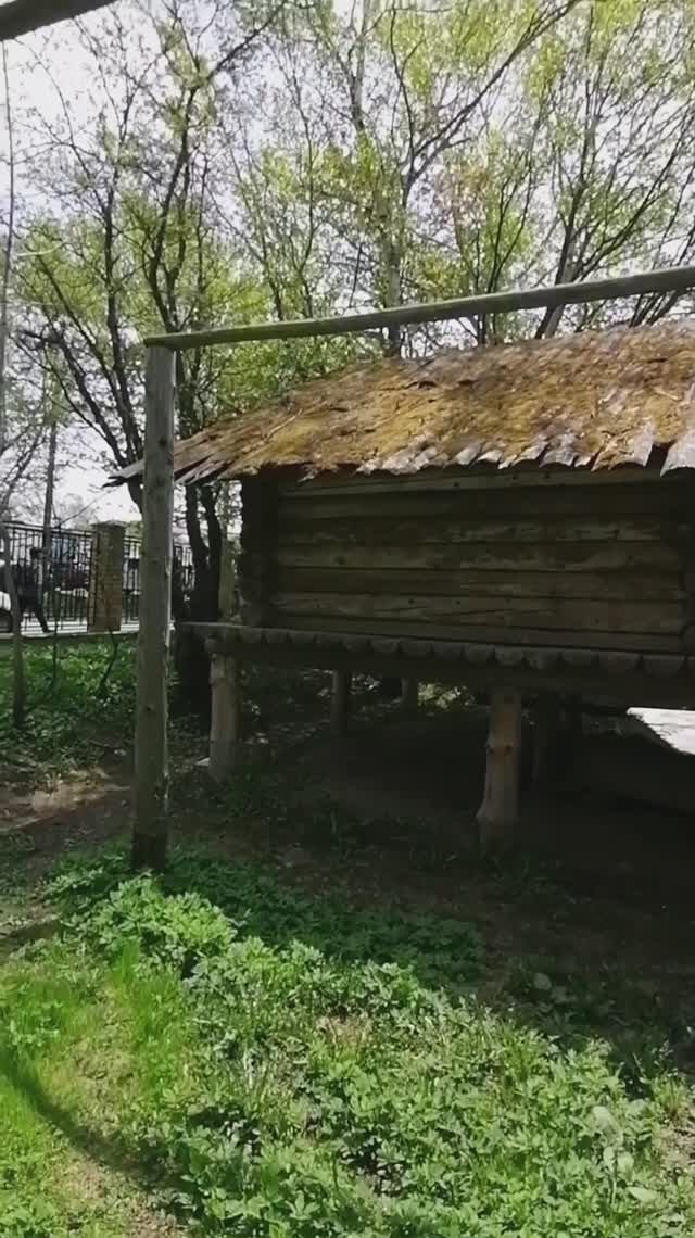 Древнее жилище коренных народов Сахалина