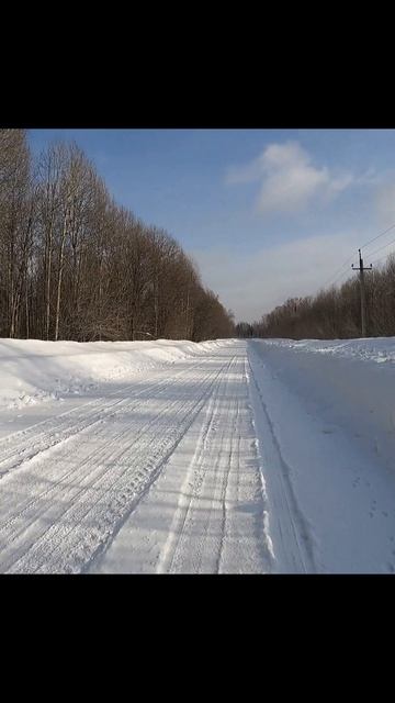 «Сова в инее»