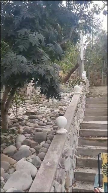 lv_0_20260429210518.mp4