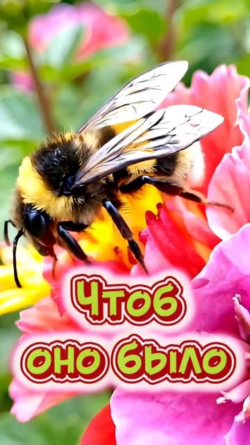 🌈Доброго утра!