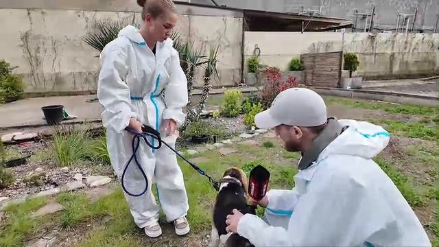 Как спасают животных в Туапсинском районе | Репортаж СоловьёвLive