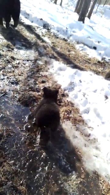 Обычный день в России 🇷🇺🇷🇺🇷🇺