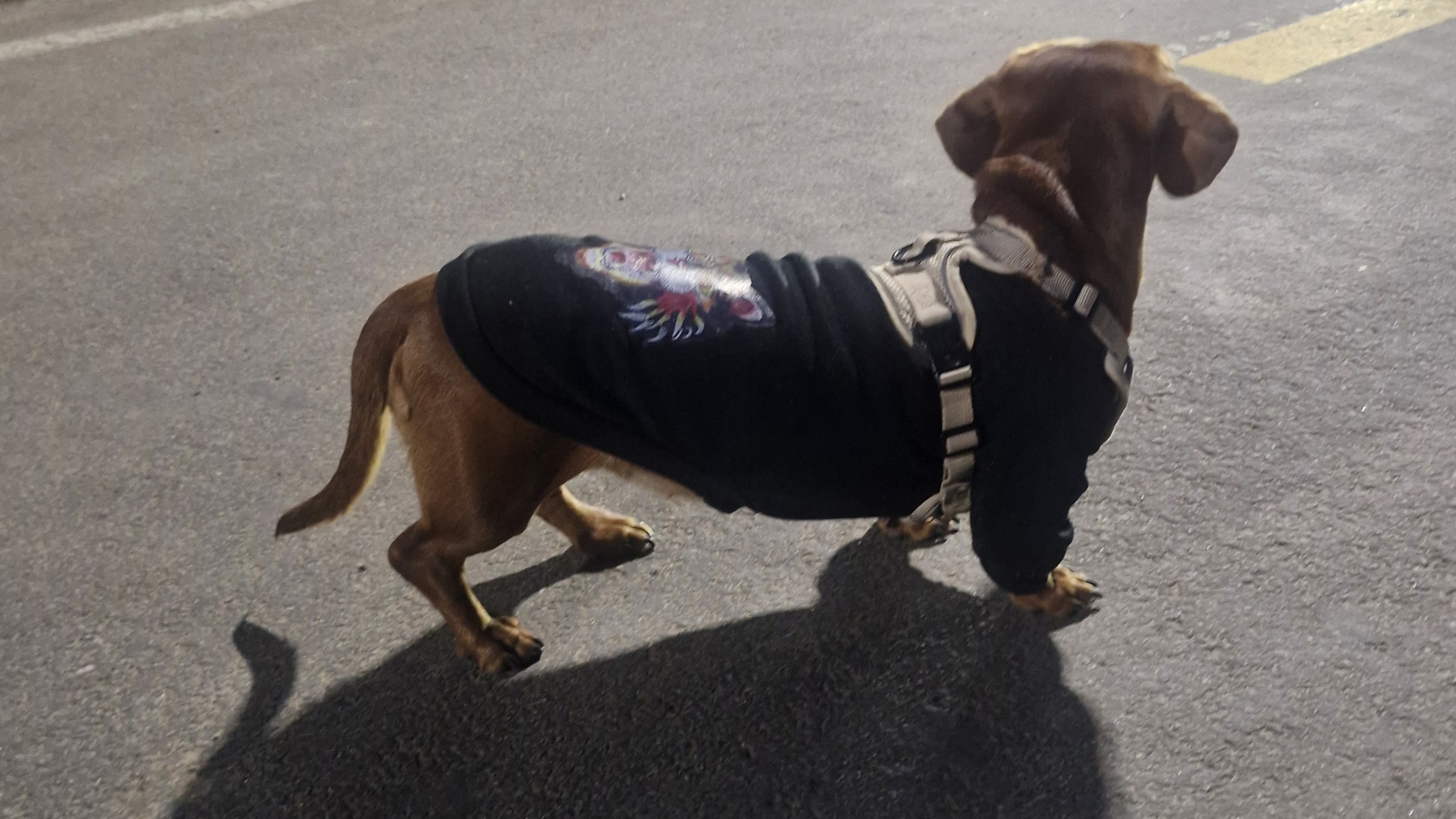 тропа здоровья