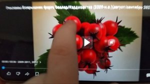 Озвучиваю рекламу боярышник форте 🤥🤥🤥