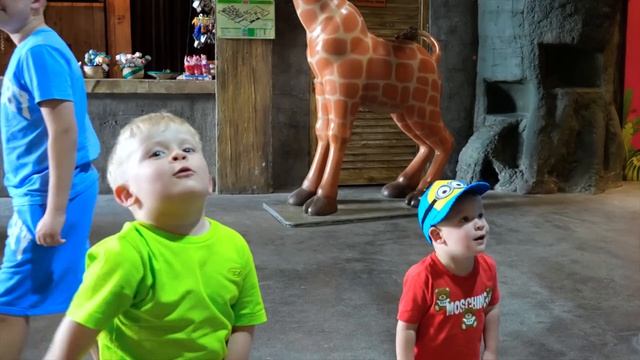 Робопёс 🐶🤖 Vs Настоящая Собака Челлендж