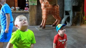 Робопёс 🐶🤖 vs Настоящая Собака Челлендж