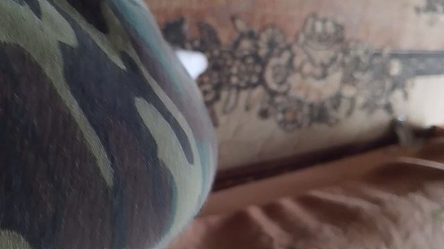 первая серия