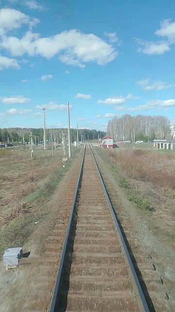 Красные Орлы - Егоршино вид из окна поезда #shorts #ржд #поезд #поезда