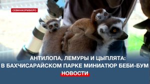В Бахчисарайском парке миниатюр рассказали о весеннем пополнении в зоопарке