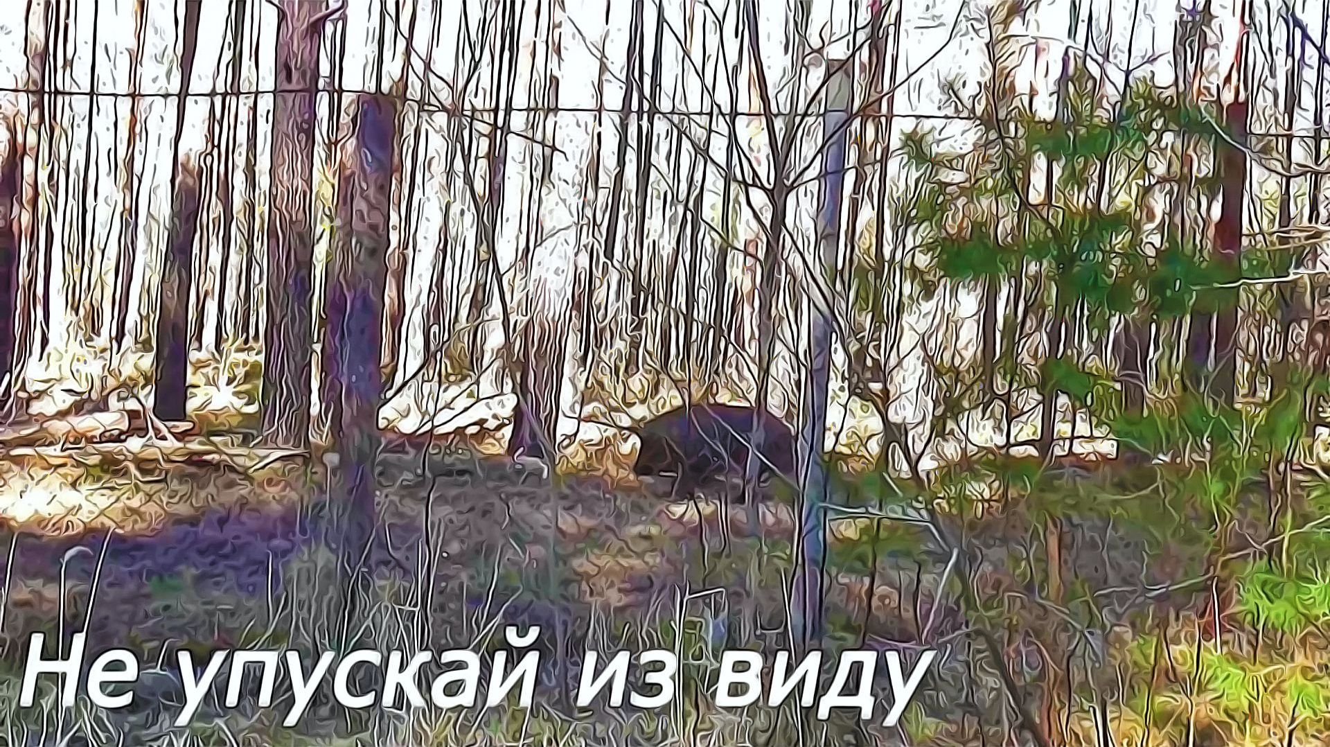 Не упускай из виду