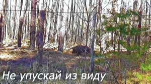 Не упускай из виду
