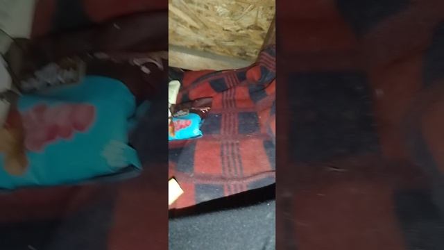Сидим в домике под дождём с Артёмом.