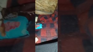 Сидим в домике под дождём с Артёмом.