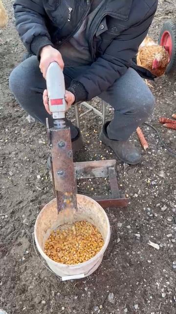 чистка кукуруза