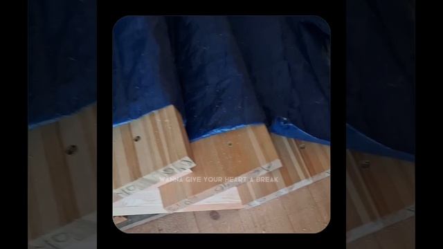 1000057339.mp4 Собака наблюдает за устройством лестницы на 2-ой этаж в доме А-фрейм