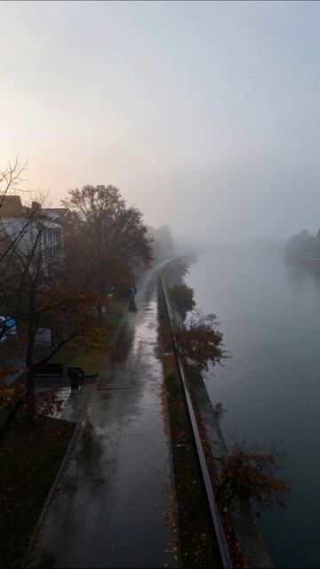 Туманное утро у реки #природа #осень