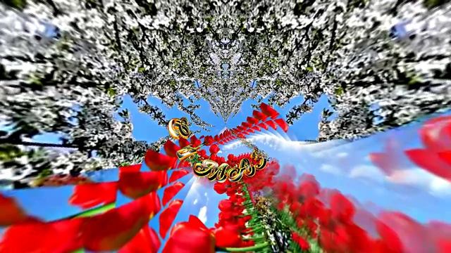 С 1 МАЯ!!! Поздравление с Праздником Весны 4 от Киностудии Мудрого Кота Тимофея!