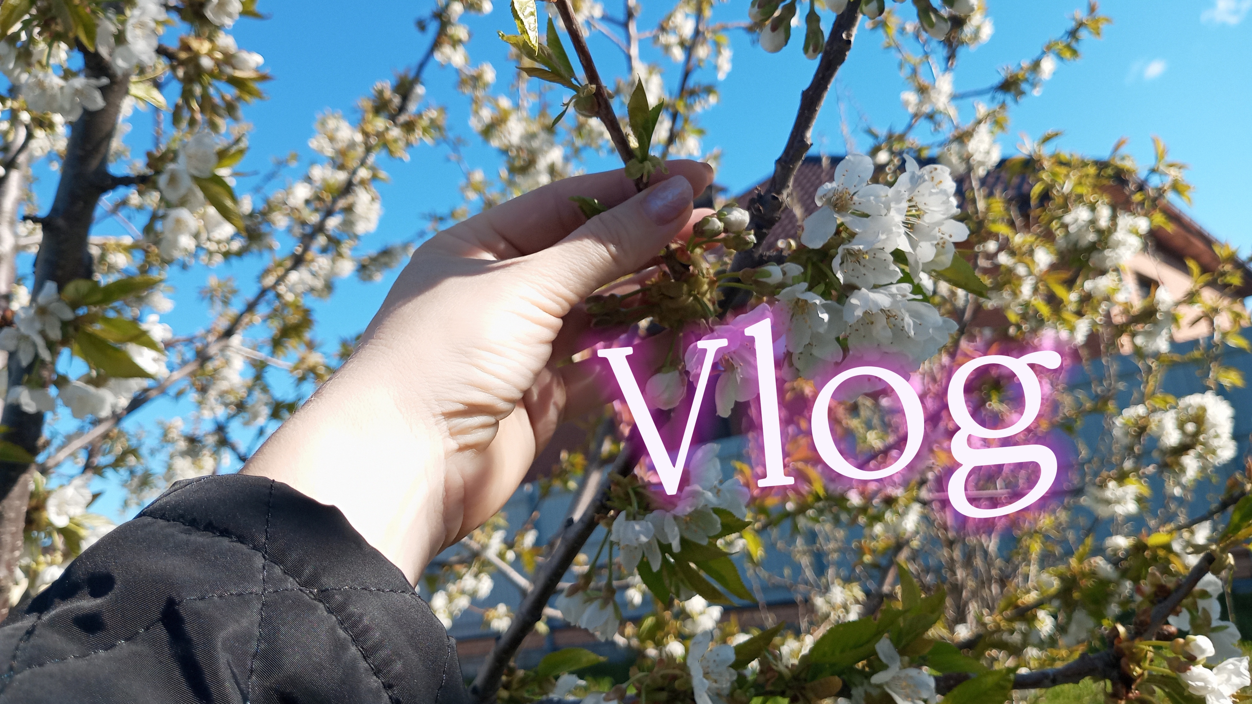 СУЛТАН МОЕГО СЕРДЦА ❤ И ДРУГИЕ ЗАБОТЫ ДНЯ 😉