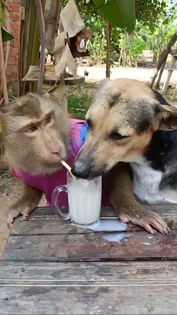 VID_20260430_022932_419.mp4