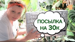 РАСПАКОВКА. КОСЯК САДОВНИКА. РЕАНИМАЦИЯ МОНСТЕРЫ. 30-04-2026