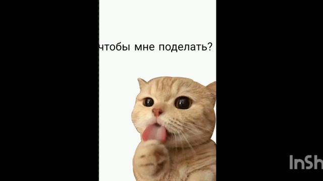 мой мем